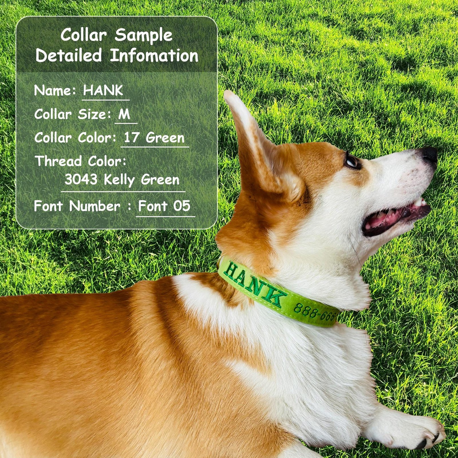 Personalized Embroidered Velvet Dog Collar | Custom Pet Name Collar - Image 8