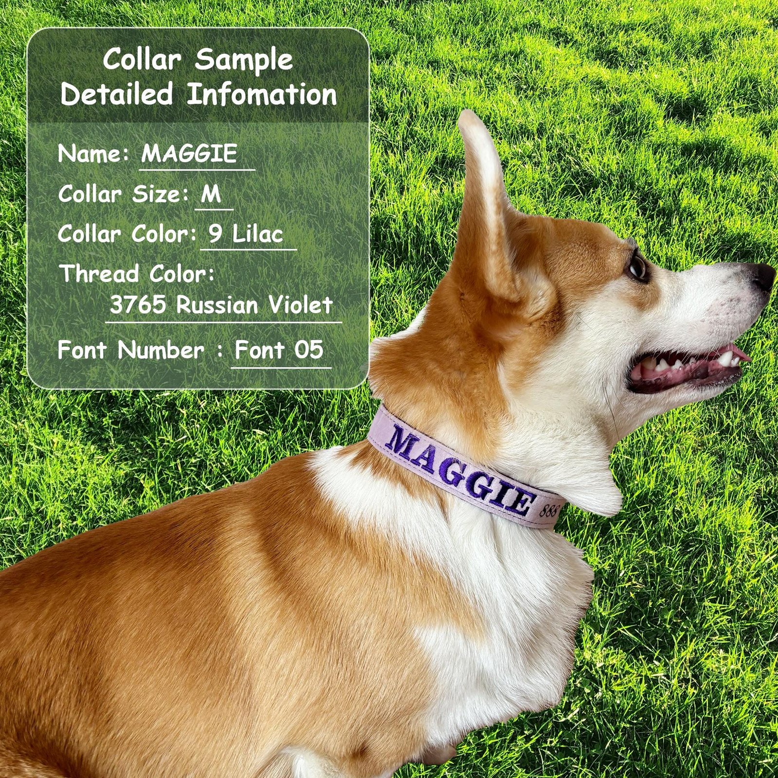 Personalized Embroidered Velvet Dog Collar | Custom Pet Name Collar - Image 10